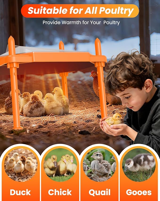 Chick Brooder Heating Plate, 14"x11"Adjustable Temperature & Height Heating Plate for Chicken with Anti-Roost Cone, Easy-Clean Poultry Coop Heater for Up to 18-22 Chicks (Orange)
