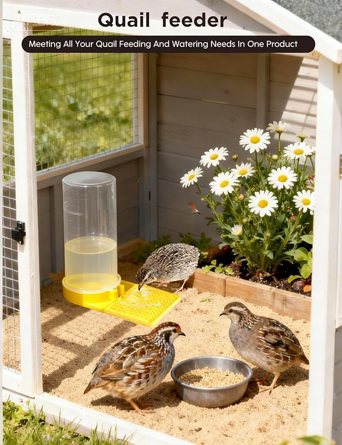 Large Capacity Quail Water Feeder,Button Quail Supplies for Quail Cage, Multi-Use as Quail Feeder, Quail Waterer, Chick Waterer,Baby Chick Waterer, Ideal Quail Feeders for Baby Bird