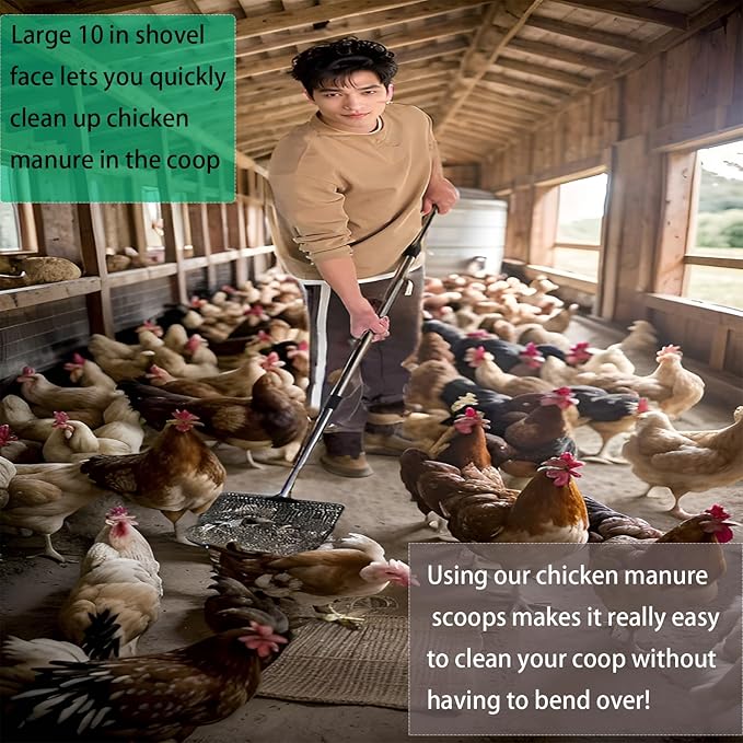 10 in Large Chicken Poop Scooper,4-in-1 Stainless Steel Handle, Adjustable Chicken Coop Accessories, Suitable for Chicken Coop Cleaning Cat Litter Other Heavy Duty Poop Scoop (Large)