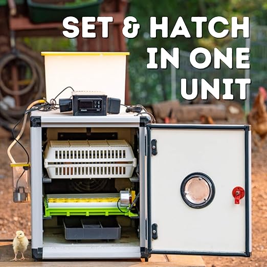 Incubators for Hatching Eggs – 60 Egg Incubator Setter & Hatcher with Automatic Turner & Digital Humidity Control Cabinet, Compact Chicken Incubator & Quail Egg Incubator by Hatching Time