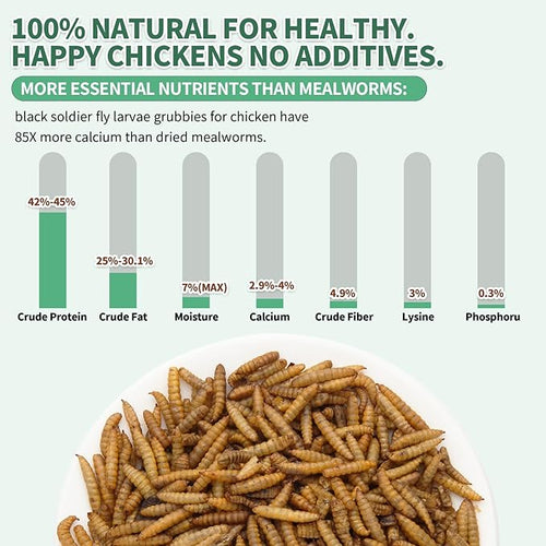10LB Dried Black Soldier Fly Larvae for Chickens,High Calcium,Non-GMO,60-100X More Calcium Than Mealworms,Treat for Laying Hen,Ducks,Wild Birds,Turtles