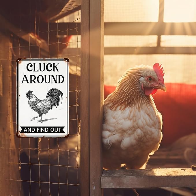 Cluck Around and Find Out Metal Tin Sign for Home Farmhouse Chicken Coop Home Kitchen Wall Decoration Chicken Coop Accessories Decor Wall Art 8x12 Inch