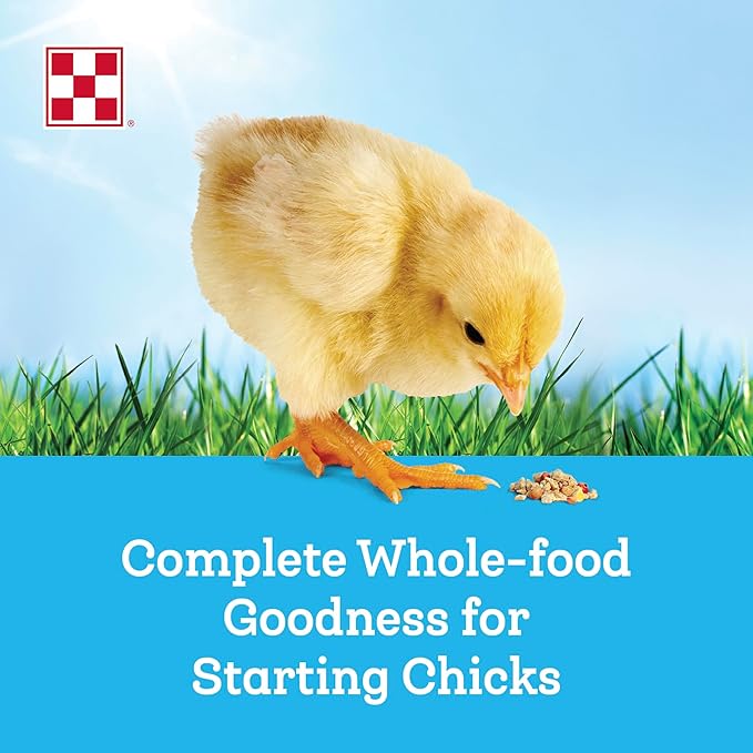 Purina® Farm to Flock® 20% Starter Chick Food, 10 Pound Bag