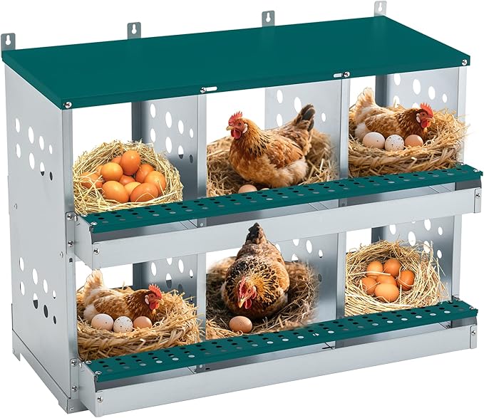 Chicken Nesting Box 6 Compartments, Metal Chicken Laying Boxes Wall Mountable, Easy Egg Collection Roll Away Nesting Boxes Chicken, Chicken Coop Nesting Boxes for Hens Laying Eggs