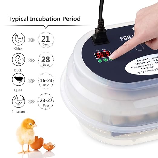 HBlife Digital Egg Incubator for Hatching 9-12 Chicken, Quail and Duck Eggs, with Fully Automatic Egg Turning and Temperature Display, Hatcher for Turkeys, Birds, Parrots and Poultry