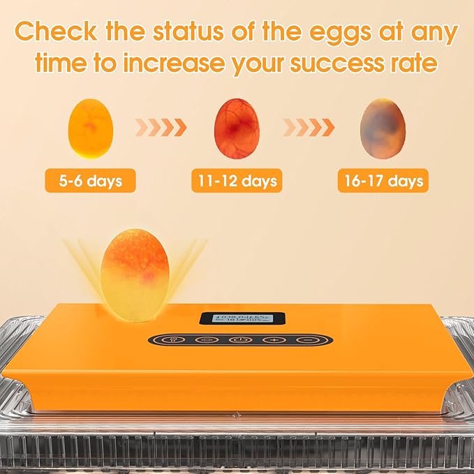 HOWOOIUA 25 Egg Incubator with Automatic Turning & Digital Display, Temperature Control Humidity Monitor with Countdown Timer, 3-in-1Incubator for Hatching Chicken, Duck, Quail, Goose Eggs