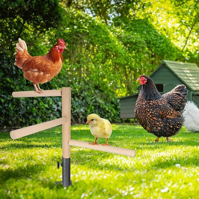Chicken Perch Toy for Coop, Chicken Perch Stand Wooden with Metal Ground Plug, Roosting Bar for Chicken Coop Toys, Suitable for Poultry Rooster Chicks Bird Parrot