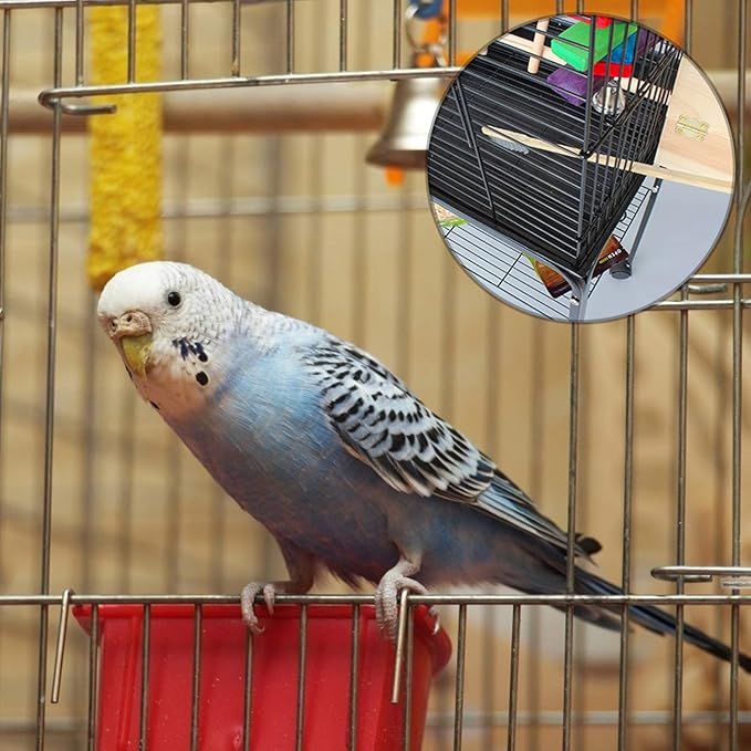 Angoily 6pcs Bird Cage Cleaning Tools Set Pet Parrot Brush and Shovel for Efficient Cage Maintenance Random Bird Poop Scraper Brush