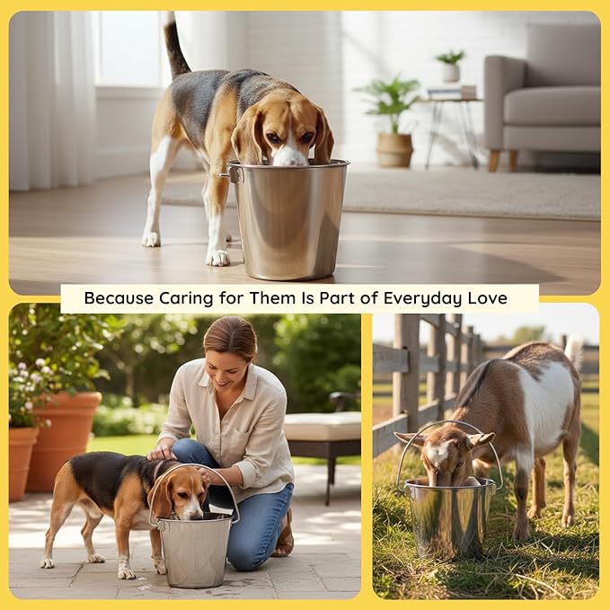 6 quart Heavy Duty Stainless Steel Round Bucket with Handle | 1.5 gal Sturdy Food & Water Bowl for XL Dogs Cats Goat sheep & Livestock | Fits kennel Crate Cage Farm | Hanging Utility Pail
