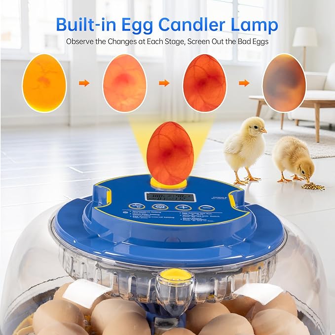 18 Egg Incubator for Hatching Eggs – Smart Auto Turner & Humidity Control, 360° View, Built-in Candler | Hatching Kit with Chick Helmet for Chicken, Duck, Quail | Ideal for Home & Classroom
