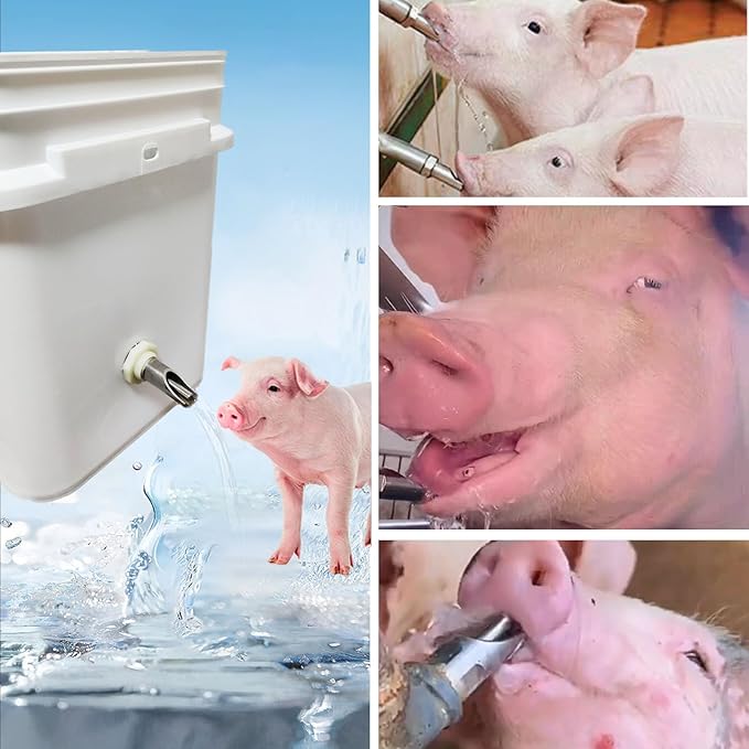 5 PCS Pig Nipple Waterer for Barrel Kit Automatic Pig Water System 1/2 inch Stainless Steel Waterer Drinker Feeder with Tank Connectors Hog Water Nipples for Sows Piglet (5pcs, one Size)