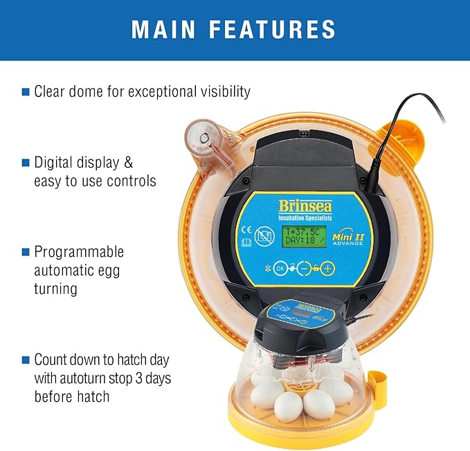 Brinsea Mini II Advance & Insert, Egg Incubator with Automatic Egg Turning and Temperature Control for Hatching 7 Eggs or up to 12 with Insert, Ideal Incubator for Hobbyists and More