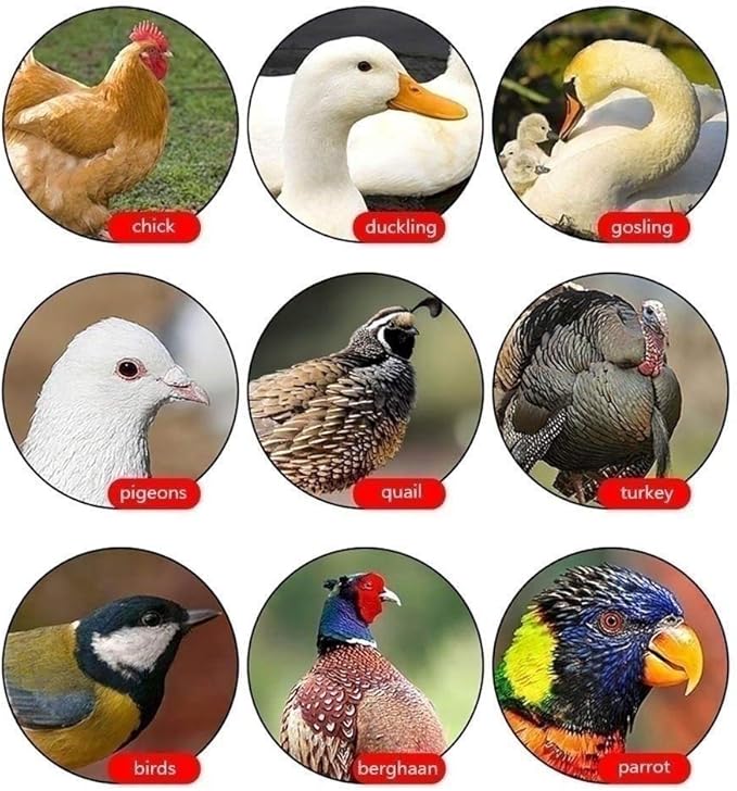 Egg Incubator, 96 Egg Incubator Automatic Turning Poultry Hatcher Brooder Digital Temperature Humidity Control For Chicken Duck Bird Pigeon Farm