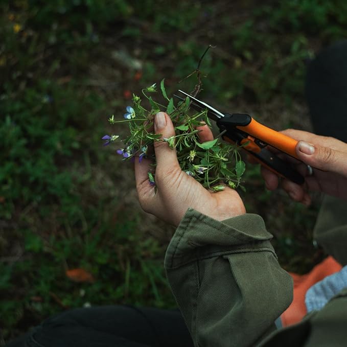 Fiskars 6" Pruning Scissors for Flower Stems, Herbs, Buds, and Small Plants, Garden Snips with Stainless Steel Blades, Gardening Trimmers with Comfortable Handle