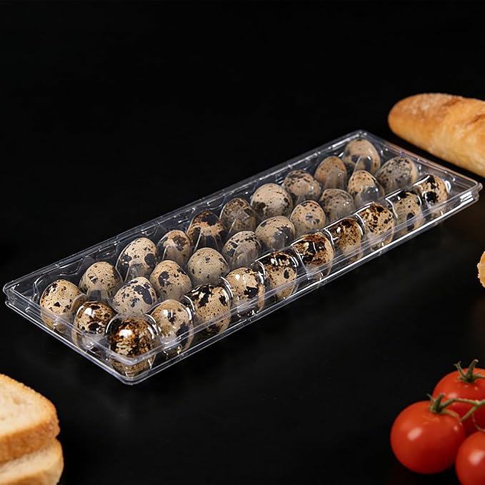 Kisangel 30pcs 30 Grids Clear Quail Egg Carton - Small Plastic Quail Egg Storage Holder with Lid - Reusable Dispenser Holder for Small Pigeon Pheasant Egges