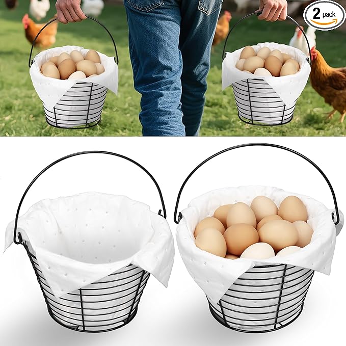 Egg Basket for Collecting & Carrying Chicken Eggs, 2 PCS 8" Wire Egg Basket with Soft Mats, Egg Collecting Baskets, Storagre & Transporting, Black