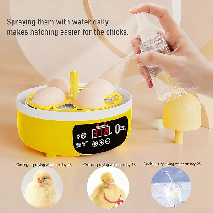 Tissting Mini Compact Egg Incubator Holds 4 Large or 8 Quail Eggs USB Powered with Auto Features - Auto Egg Turner with Temperature Control & Egg Candler for Chicken Duck Quail Eggs