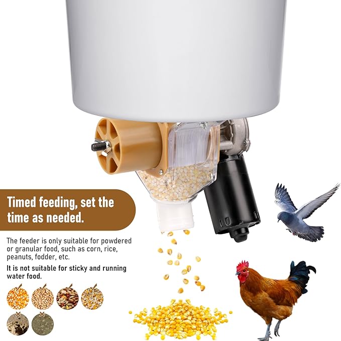 Timed Automatic Chicken Feeder and Duck Feeder, Timed Poultry Feederer Great for Chickens, Ducks, Geese, Pigeons, Fish, Dogs, Fish, Cats