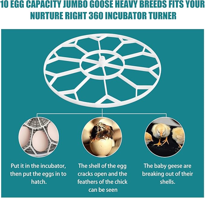 JGT360 Jumbo Goose Heavy Incubator for Nurture Right 360 Incubator ﻿Maximum Capacity 10 Jumbo Goose Heavy Incubator