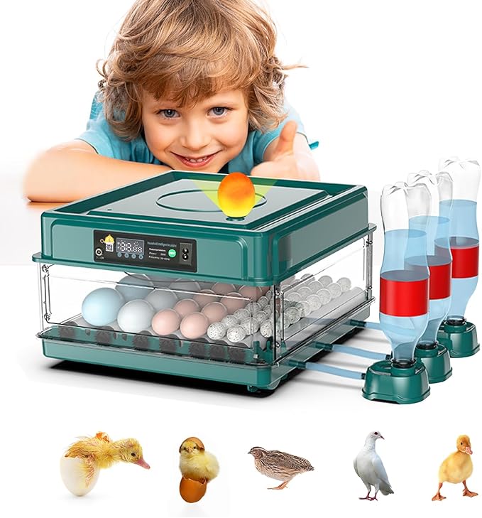 Automatic Egg Incubator 12-38 Eggs Automatic Poultry Intelligent Incubator for Hatching Eggs,with Automatic Turner, Egg Candler&Temperature Control,for Hatching Chicken Quail Bird Duck Eggs (38 EGGS)