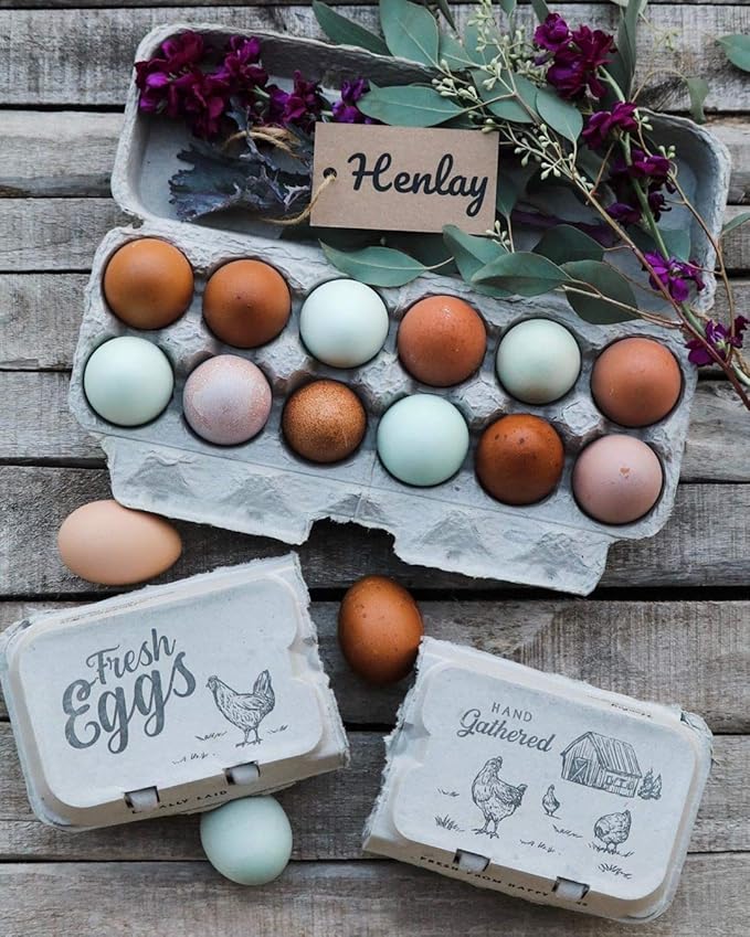 Half Dozen Egg Cartons- Full Dozen Can Split to Half Dozen Size- Each Carton Securely Holds 6 or 12 Extra Large Eggs (Natural, 250)
