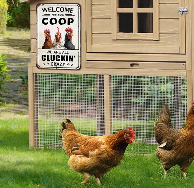 Chicken Coop Accessories Funny Chicken Signs Rooster Decorations Chicken Stuff For Farmhouse Farm Kicthen Decor Welcome To Our Coop 12x8 Inches