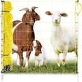 Premier 1 Portable Electric Goat & Sheep Net Fence with Built-in Posts | Yellow – 42"H x 164'L