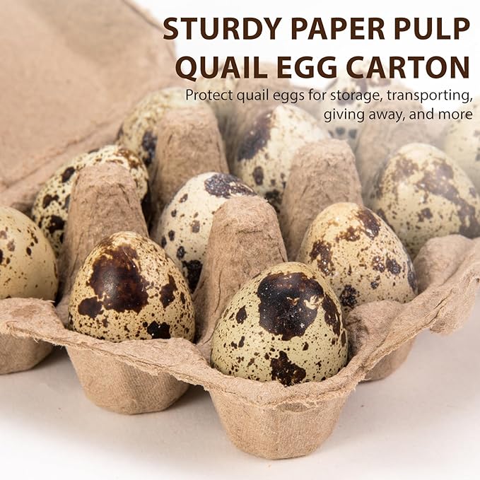 CINPIUK 50 Pack Quail Egg Cartons, 3x4 Style Paper Pulp Quail Egg Trays, Sturdy & Reusable Quail Egg Holder 12 Count Dozen Quail Egg Storage Tray for Farmers, Home Use & Transport