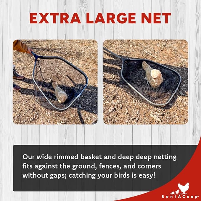 RentACoop Cluck Catcher Chicken Catching Net for All Poultry, Turkeys, Ducks, Quail, and Other Small Animals