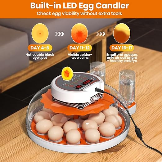 Incubators for Hatching Eggs - 18 Egg Capacity，Automatic Egg Turner，360° Viewing，Temperature & Humidity Control，Dual Size Egg Trays for Chicken, Duck, Goose, Turkey, Quail, and Parrot Eggs