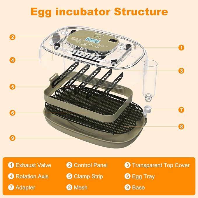 24 Egg Incubators for Hatching,Automatic Egg Turning and Temperature Control Humidity Display,Hatch Day,Automatic Water Refill,360° Viewing for Chicken Quail Duck
