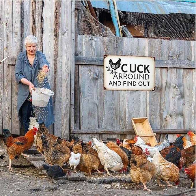 Funny Chicken Gifts Chicken Cluck Around and Find Out Tin Sign for Home Farm Chicken Coop Farmhouse Kitchen Garden Decor 8 X 12 Inch