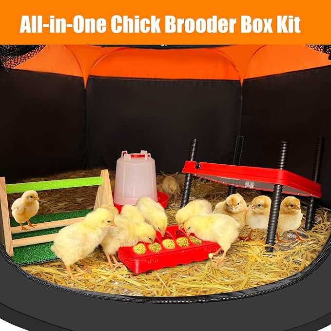 Brooder Box for Chick, 6-in-1 Chick Starter Kit, Includes Brooder Heating Plate, Baby Chicken Pen, Chicken Feeder, Waterer, Perch, Nesting Pad (Brooder Set)