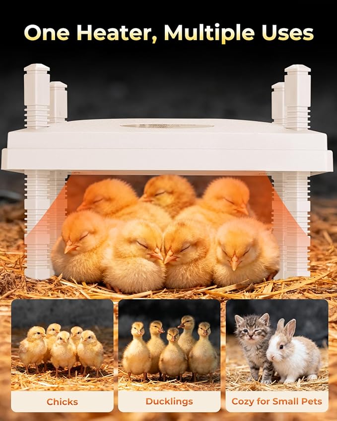 12"x12" Chick Heat Plate | Adjustable Height Angle | Remote Precise Temp Control | 30W Low-Energy Heater | Stable Anti-Tip Frame | Suitable for Up to 20 Chicks & Indoor Brooding