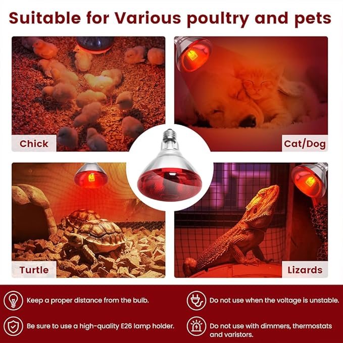 Infrared Heat Lamp Bulb for Chickens Red Heat Lamp Flood Light Heat Lamp Bulb 150 W Heating Bulbs for Brooder Coops Pets Chicks Reptiles Food Service (2 Pack)