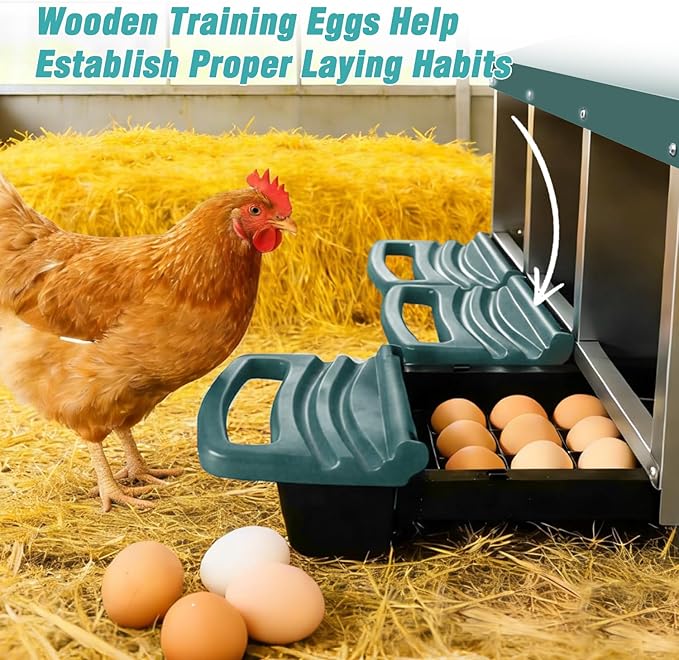 3-in-1 Roll Out Chicken Nesting Box with Removable Drawer – Green Metal Laying Nest for Hens, Easy Assemble, for Chicken Coop (Green)