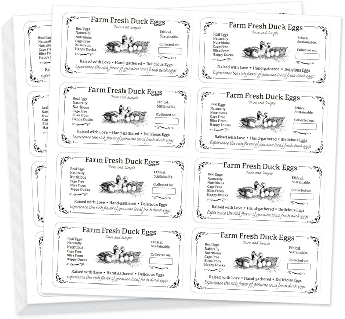 160 Pcs Duck Eggs Carton Labels, Farm Fresh Eggs Sticker Rectangle Egg Stickers PET Adhesive Egg Packaging Stickers for Box Container Carton Farm Supplies, 2x4 Inch