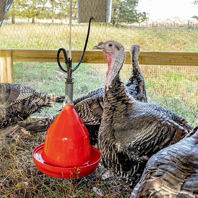 Premier 1 Suspended Dome Drinker for Chickens, Ducks, Geese & Turkeys