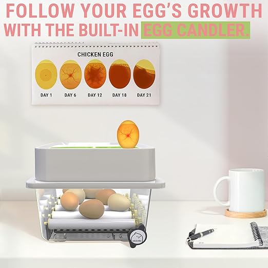 Incubators for Hatching Eggs - 12 Eggs - Ideal All Ages | Egg Incubator with Automatic Egg Turning and Humidity Control - Integrated Egg Candler - Okkobi OBI-12