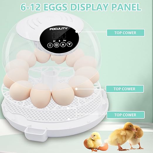 Egg Incubator for Hatching Chicks, Holds 12 Eggs, Automatic Egg Turner with Temperature, Humidity Display, Egg Candler, Automatic Egg Turner, 360 Degree View with Clear Window