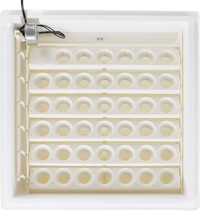 Farm Innovators 4250 Heated Digital Circulated Air Incubator (encubadora para huevos) w/Automatic Egg Turner for Improved Egg Hatching, White (2 Pack)