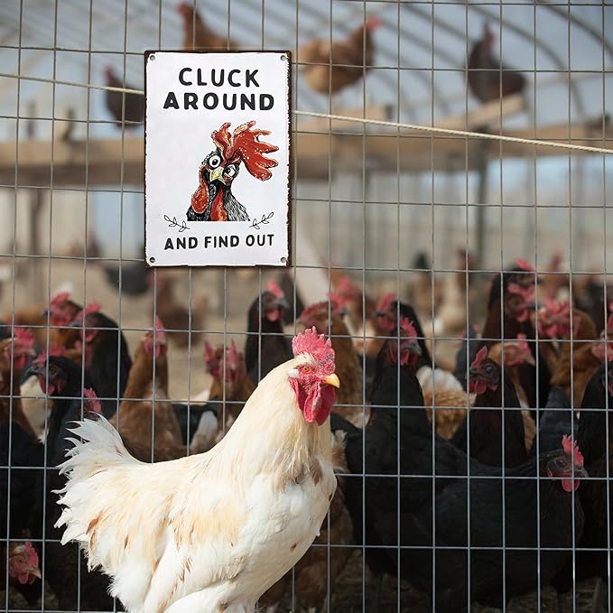 Chicken Metal Decor Signs,Rooster Kitchen Decor,Chicken Accessories for Real Chickens,Farm Stand Supplies,Chicken Coop Signs,Chicken Decor,12x8 Inch