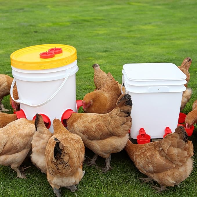 Chicken Feeder No Waste Automatic Poultry Feeder DIY Chicken Feeders and Waterer Set 6 Chicken Feeders Ports Auto Chicken Feeder Kit