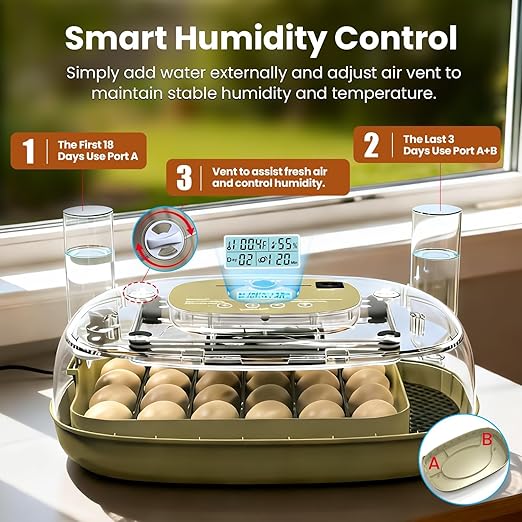 Incubators for Hatching Eggs,24 Eggs Capacity with Automatic Turning, Accurate Temp & Humidity Control, Egg Candler, Air Vent, and 360° Viewing for Chicken, Duck, Quail & Goose Eggs