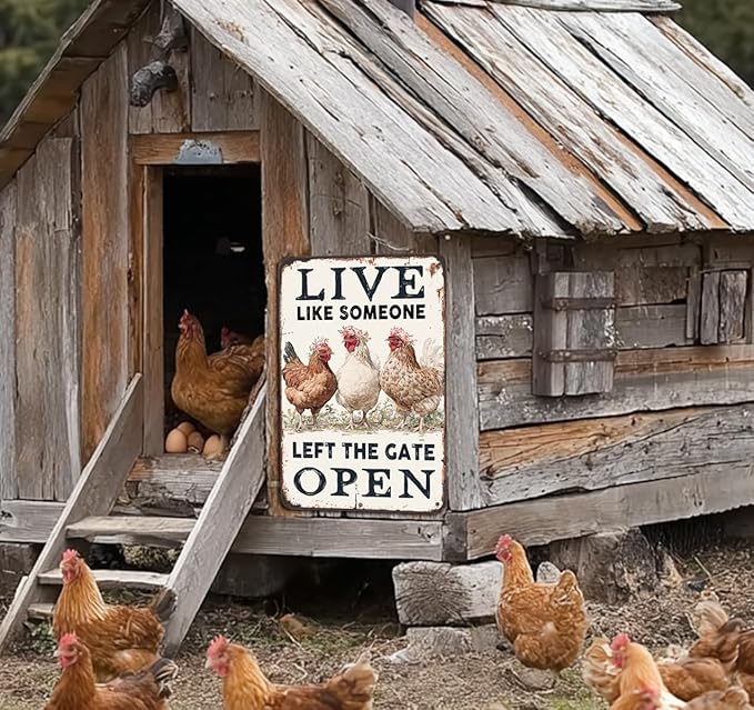 Chiken Gifts Funny Chicken Metal Sign For Home Chicken Decor Coop Rooster Decorations Farm Kitchen Chicken Wall Stuff 8x12 Inches Live Like Someone Left The Gate Open Tin Sign