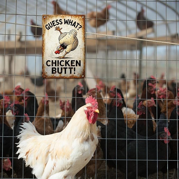 Funny Chicken Metal Decor Sign Vintage Metal Tin Sign Wall Art Decor Guess What Chicken Butt Chicken Coop Signs for Outdoor Decorations Gifts for Women and Hen Lovers 8 X 12 Inch