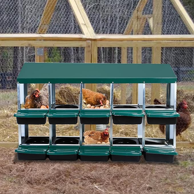 10 Compartments Metal Chicken Nesting Box Without Bracket Legs, Roll Away Egg Laying Box, Easy-Clean Pull Out Hen Roosting Box – Green