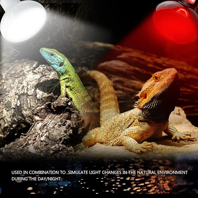 Reptile Heat Lamp Bulbs 75W 2 Pack,Day and Night Infrared Basking Spot Heating Light Combo,UVA Heat Lamp Bulb for Reptile and Amphibians,Bearded Dragon, Lizard, Turtle, Snake