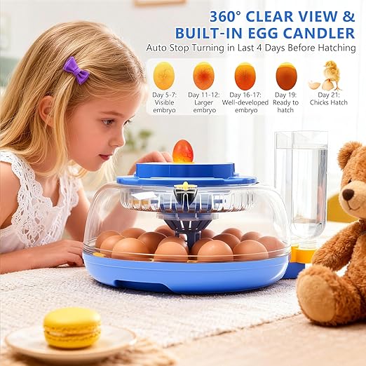 Incubators for Hatching Eggs - 18 Egg Capacity, Egg Incubator with Automatic Egg Turning and Temperature Control, Incubator for Chicken, Duck, Goose, Quail, 360° Full View, Home Farm Classroom Use