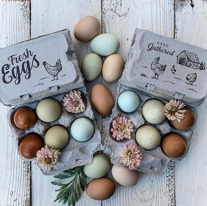 Half Dozen Egg Cartons- Full Dozen Can Split to Half Dozen Size- Each Carton Securely Holds 6 or 12 Extra Large Eggs (Natural, 250)
